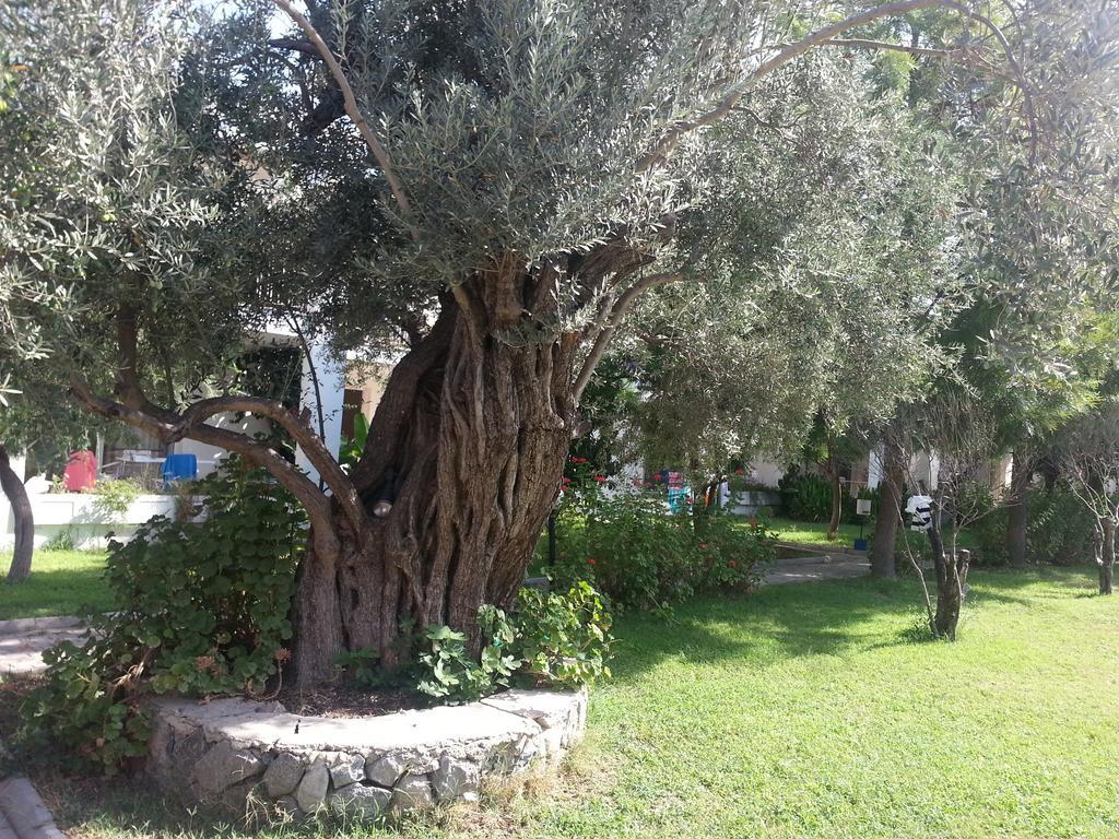 Muskebi Apart Otel Ortakentyahşi Exterior foto
